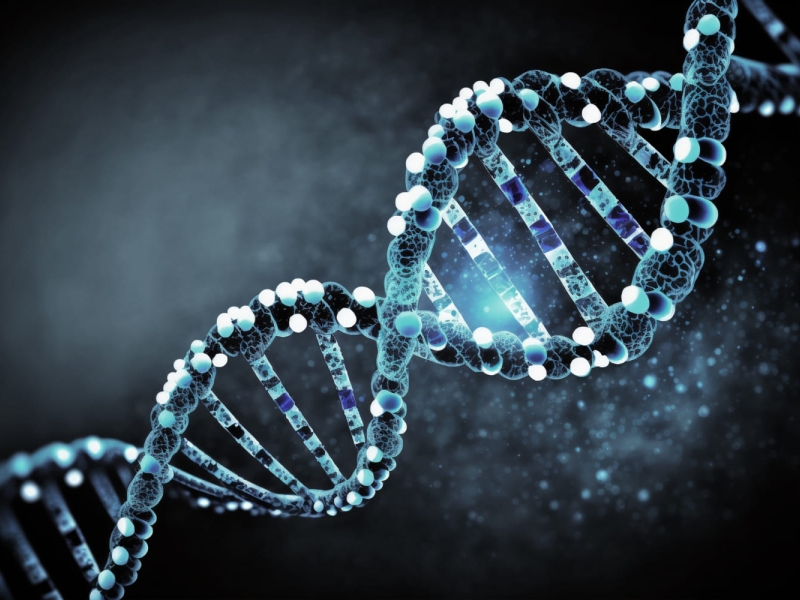 Medicina Preventiva Basada en tu ADN